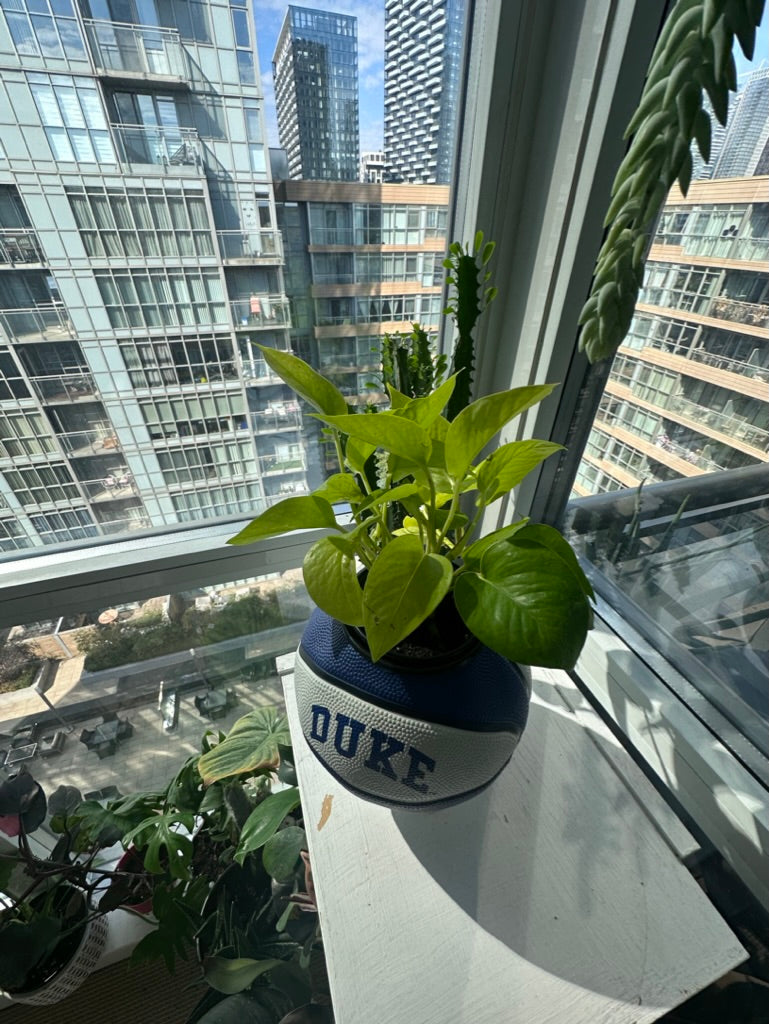Mini Basketball Planter (Duke)