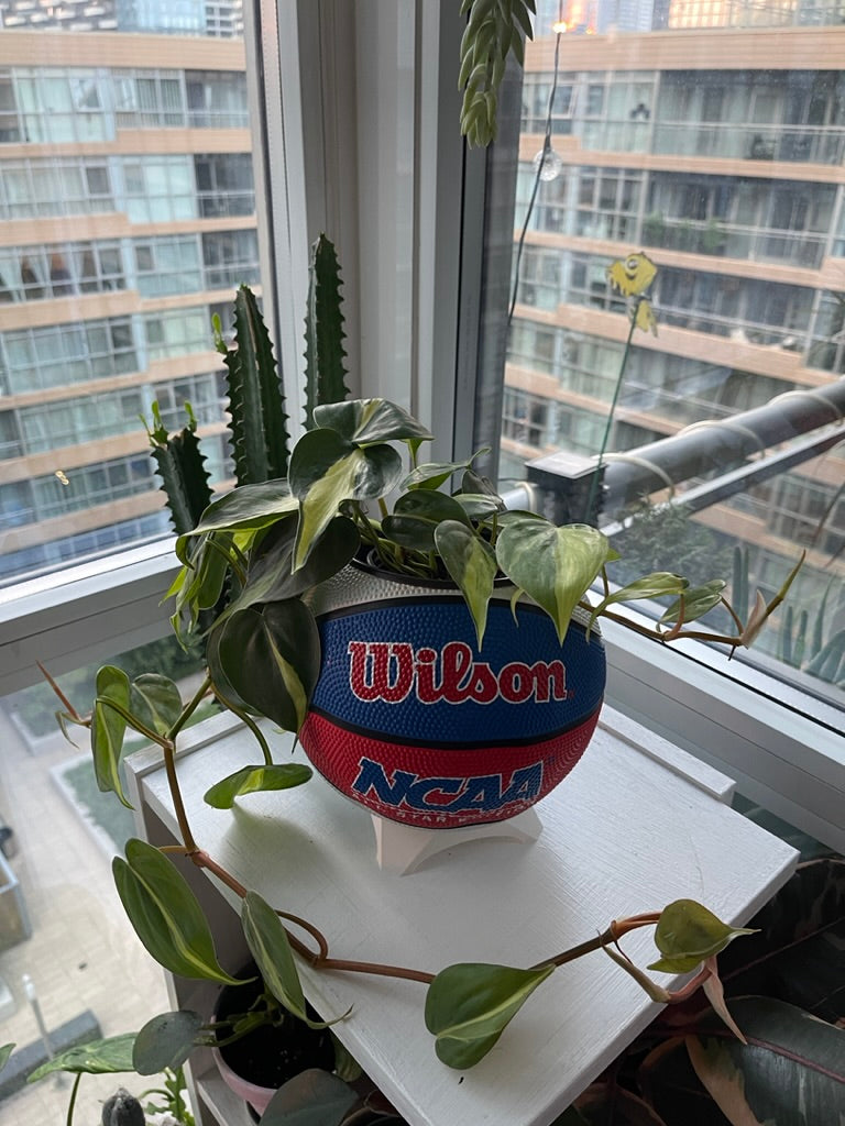Mini Basketball Planter (NCAA Red/White/Blue)