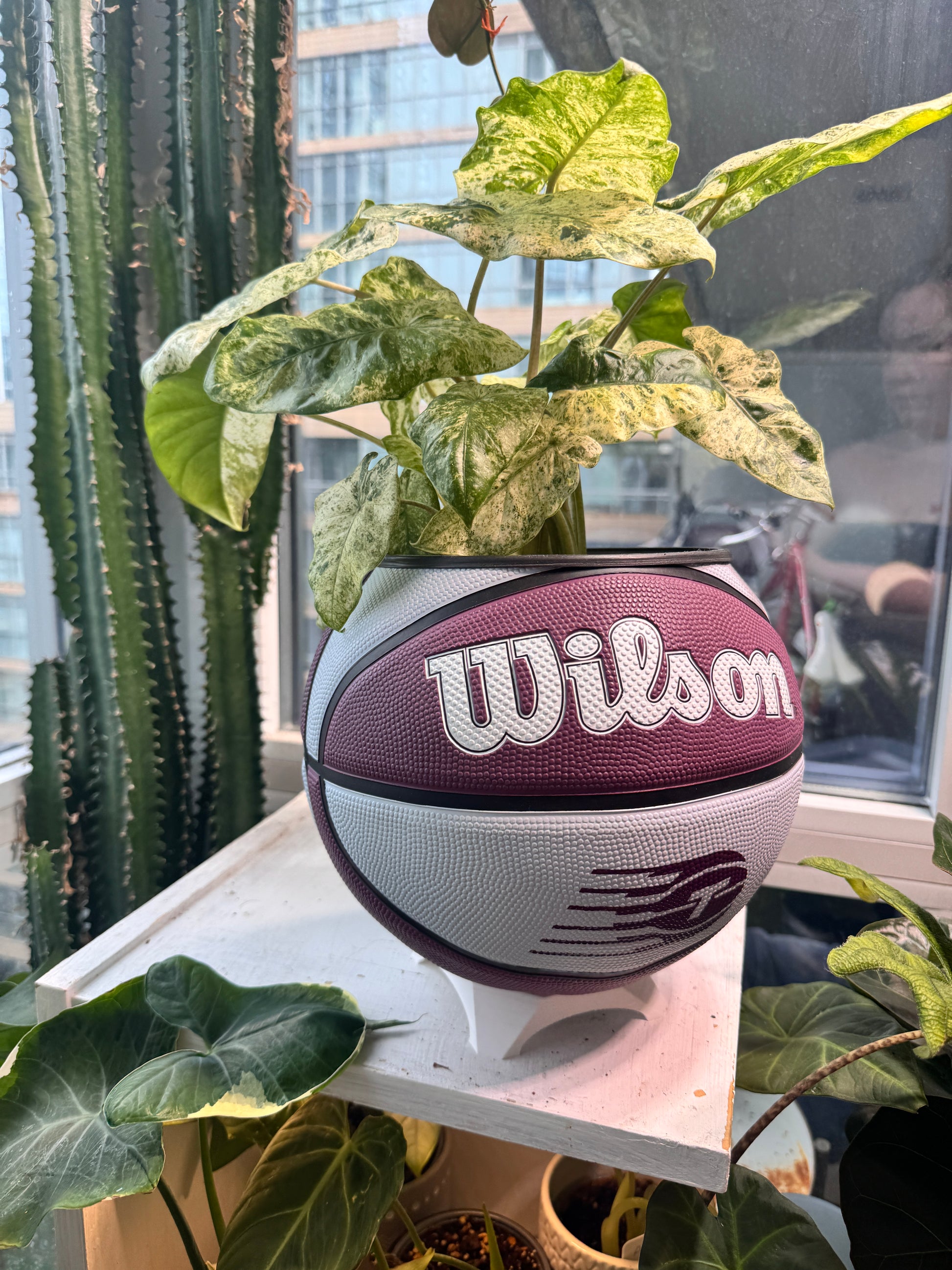 Large Basketball Planter (WNBA Toronto Tempo)