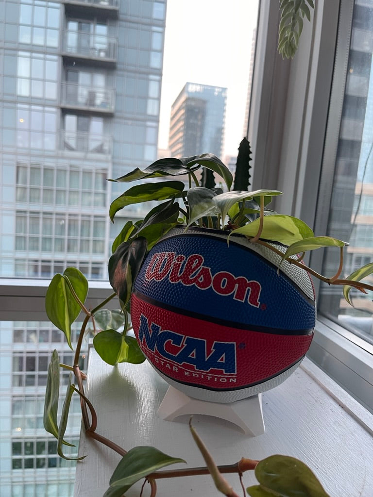 Mini Basketball Planter (NCAA Red/White/Blue)