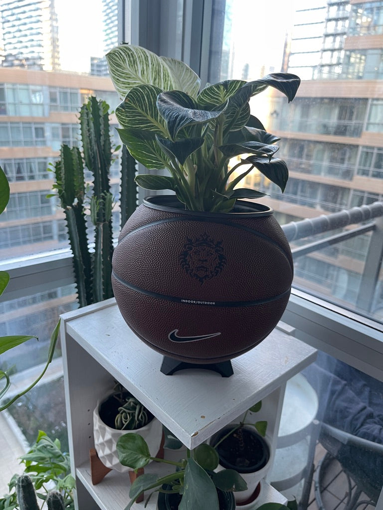 Nike Large Basketball Planter (LeBron Brown)