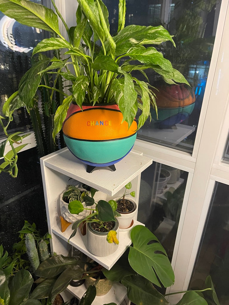 Large Basketball Planter (Chance - Rainbow)
