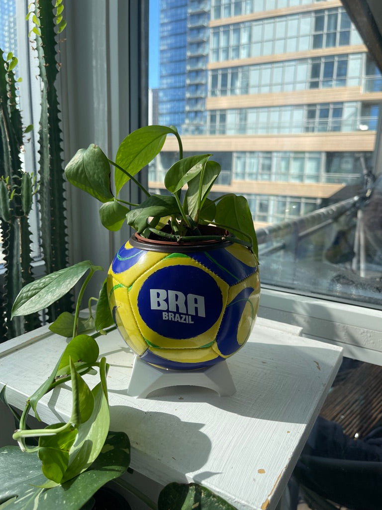 Mini Soccer Ball Planter (Brazil)