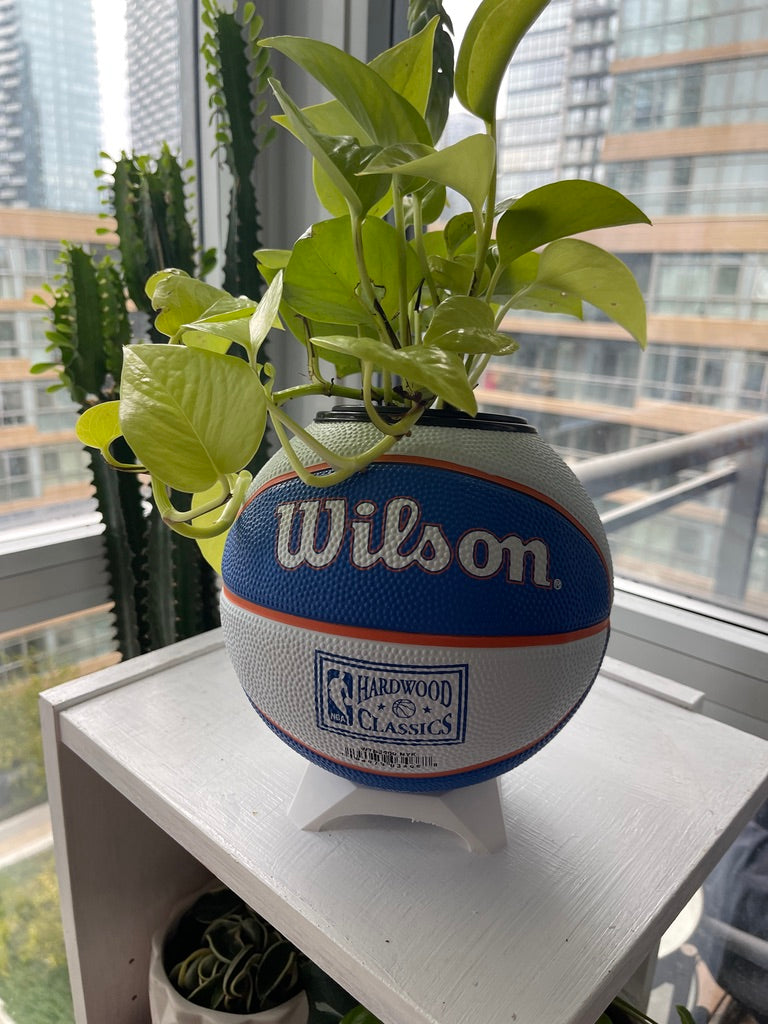 Mini Basketball Planter (New York Knicks)