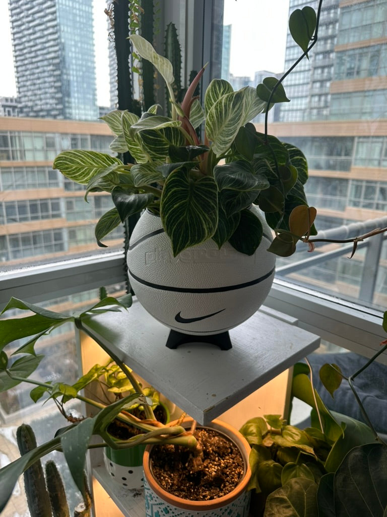Nike Large Basketball Planter (White & Black)