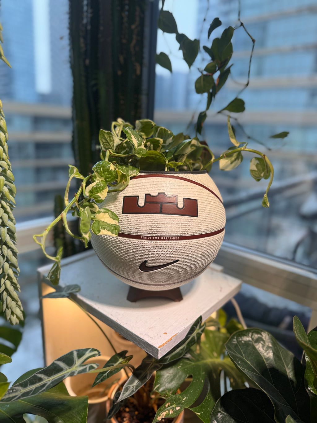Nike Large Basketball Planter (LeBron King Brown & White)