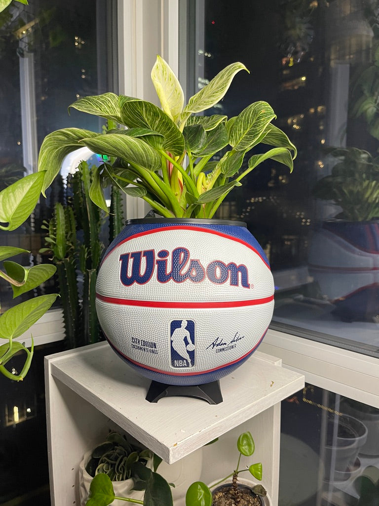 Large Basketball Planter (Sacramento Kings)