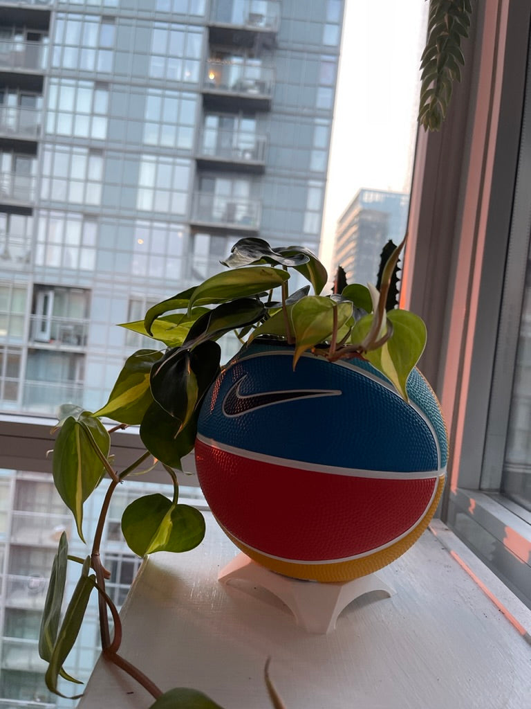 Nike Mini Basketball Planter (Team Orange)