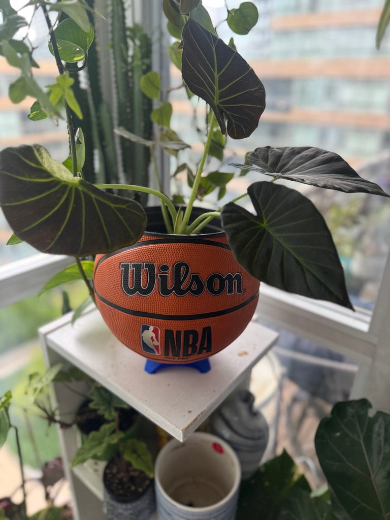 Large Basketball Planter (NBA Original)