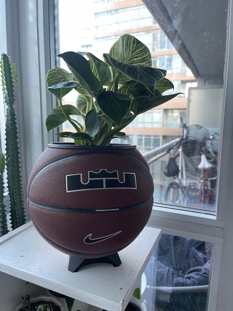 Nike Large Basketball Planter (LeBron Brown)