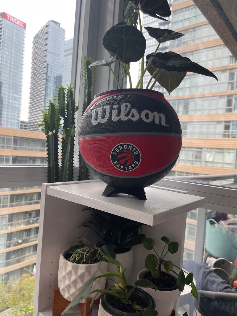 Large Basketball Planter (Toronto Raptors)