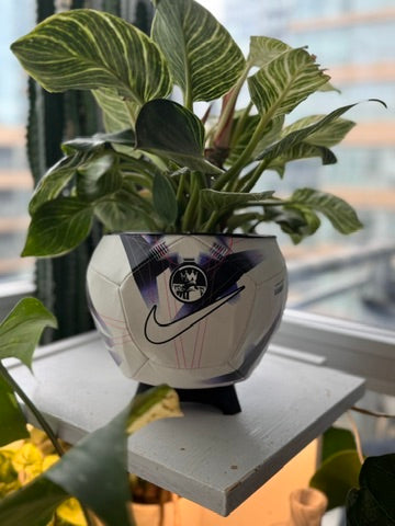 Nike Large Soccer Ball Planter (Premier League Pitch)