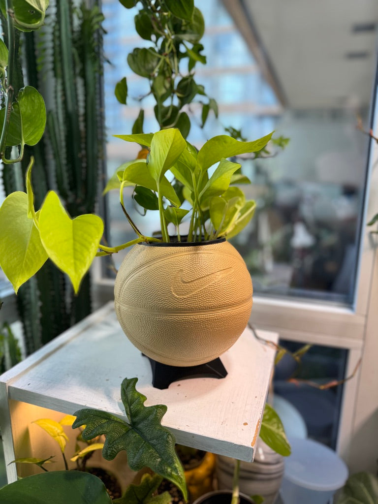 Nike Mini Basketball Planter (Camel)