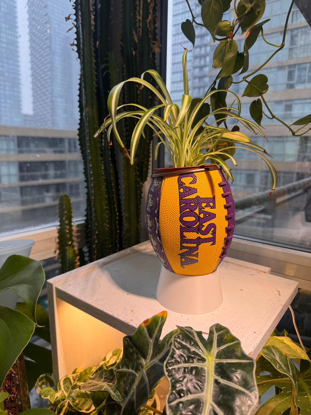 Mini Football Planter (East Carolina University Pirates)