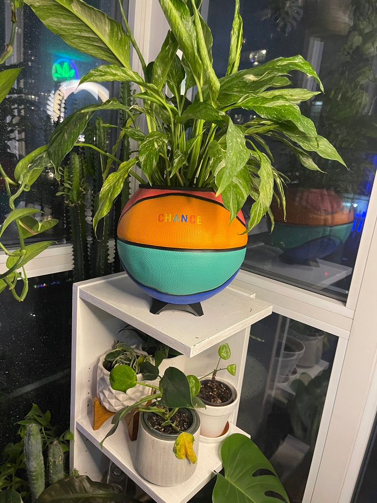 Large Basketball Planter (Chance - Rainbow)