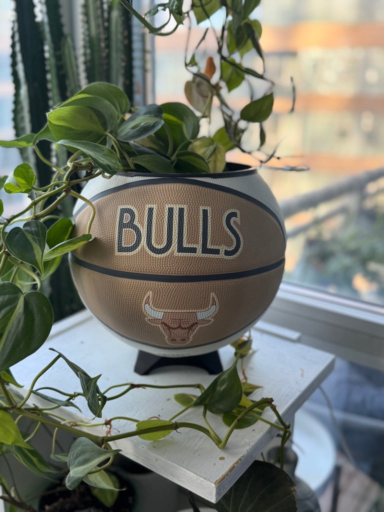 Large Basketball Planter (Chicago Bulls - Neutral)