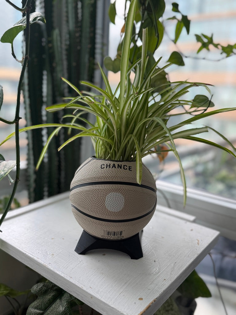 Ultra-Mini Basketball Planter (Bunny)