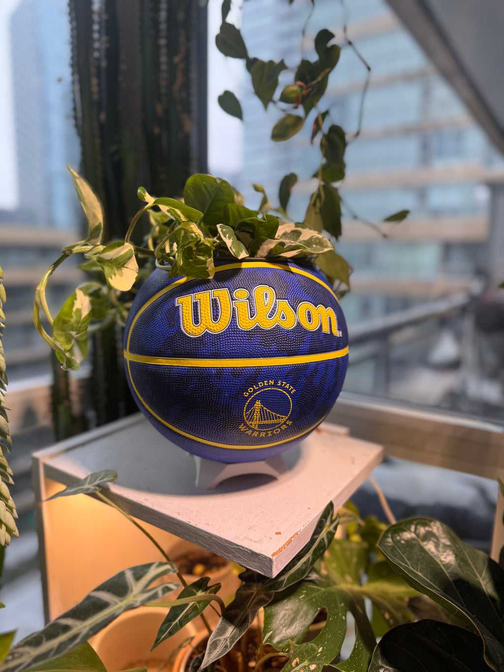 Large Basketball Planter (Golden State Warriors)