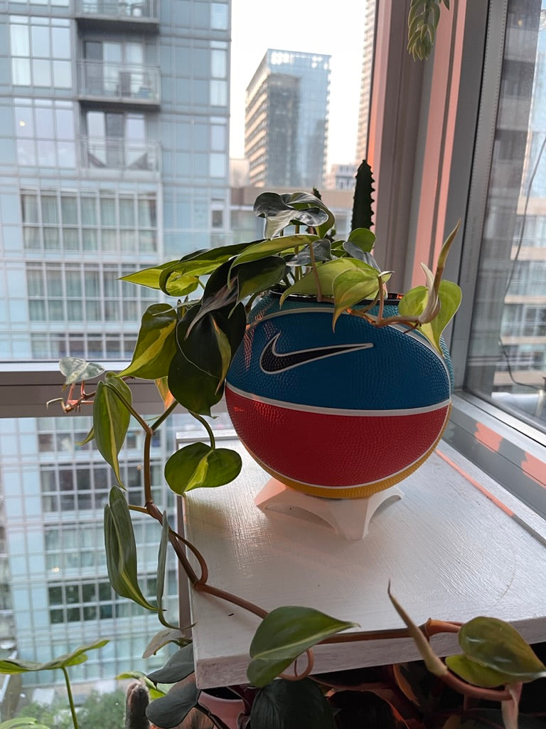 Nike Mini Basketball Planter (Team Orange)
