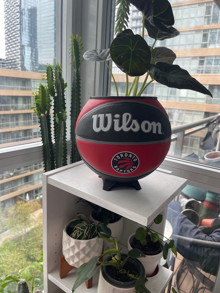 Large Basketball Planter (Toronto Raptors)