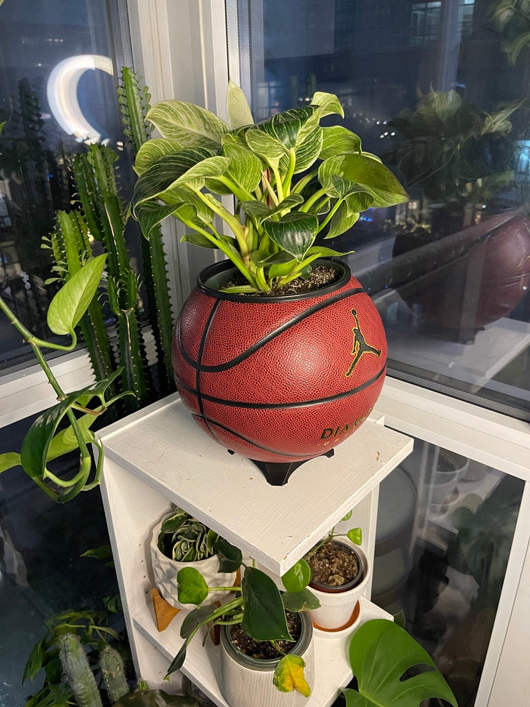Nike Jordan Large Basketball Planter (Red Diamond)