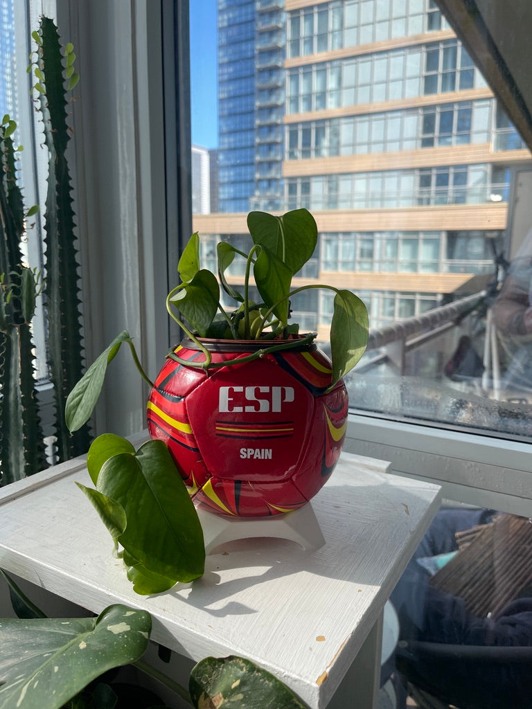 Mini Soccer Ball Planter (Spain)