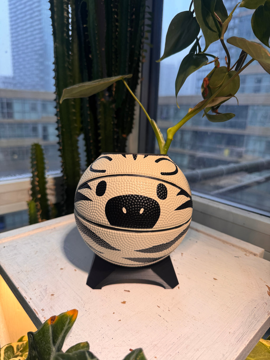Ultra-Mini Basketball Planter (Zebra)