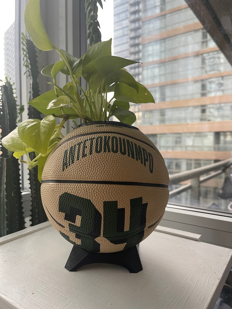 Mini Basketball Planter (Giannis Antetokounmpo)