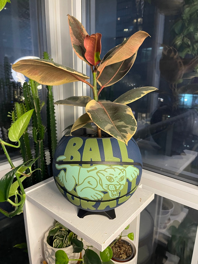 Nike Large Basketball Planter (Ball For All Blue)