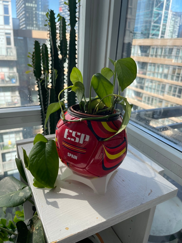 Mini Soccer Ball Planter (Spain)