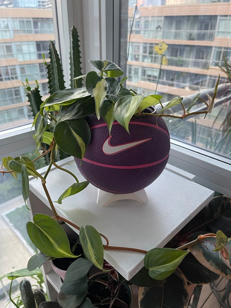 Nike Mini Basketball Planter (Grape)