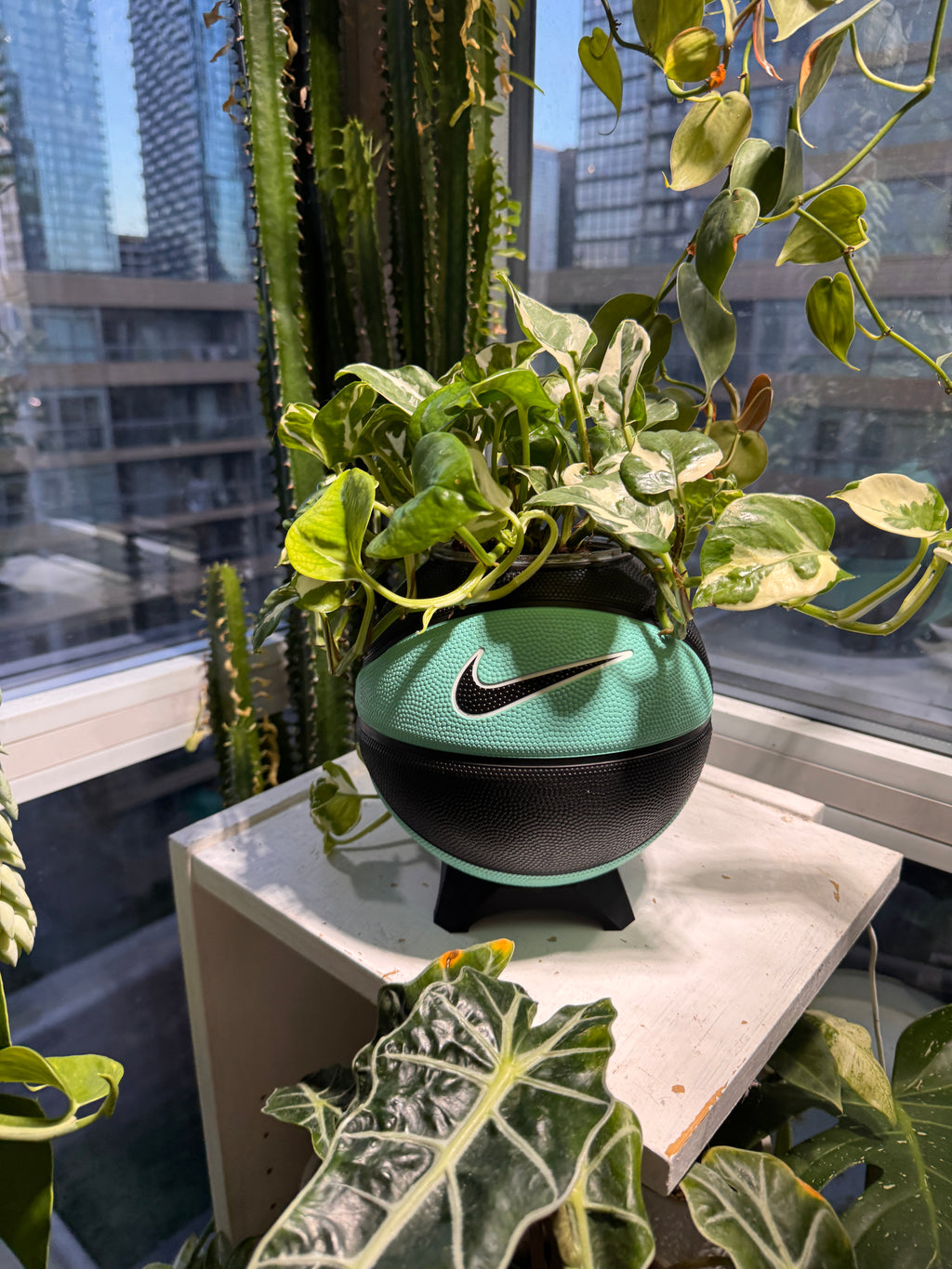 Nike Mini Basketball Planter (Tiff Blue & Black)