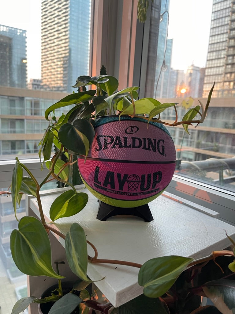 Mini Basketball Planter (Retro Lay Up)