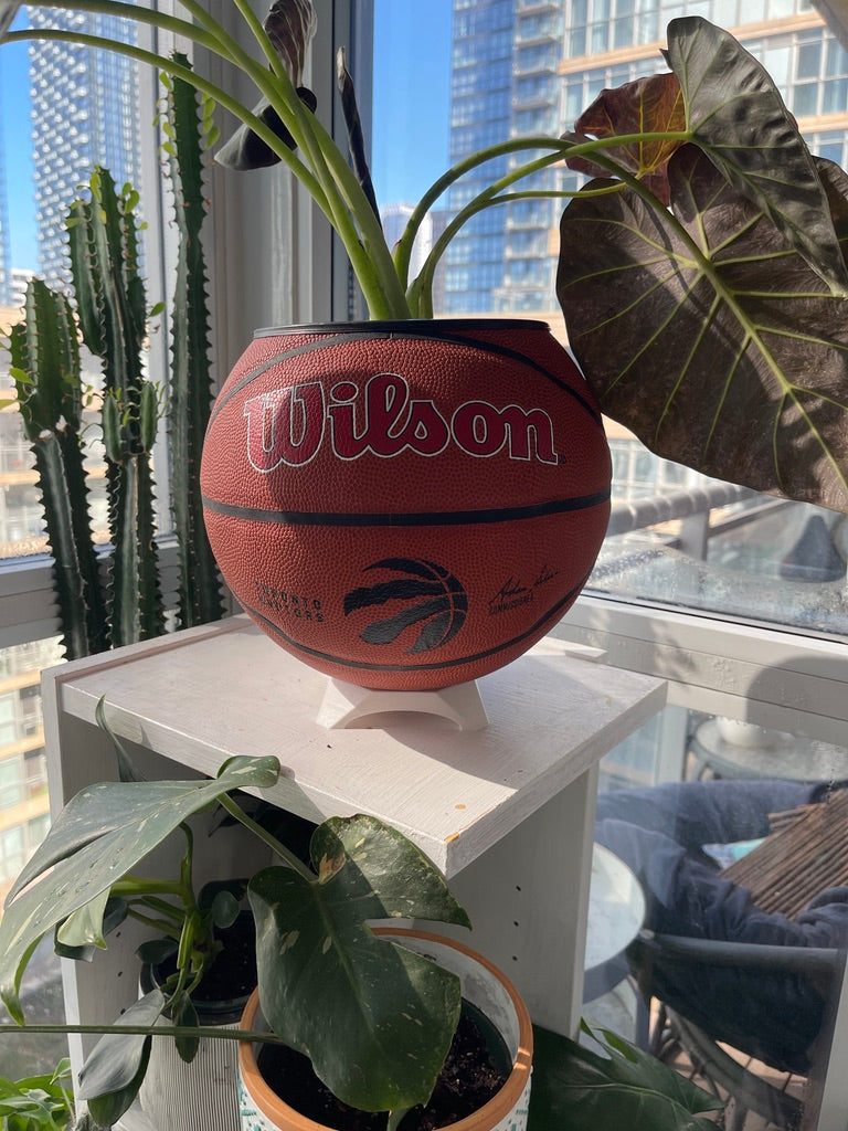 Large Basketball Planter (Toronto Raptors Original)