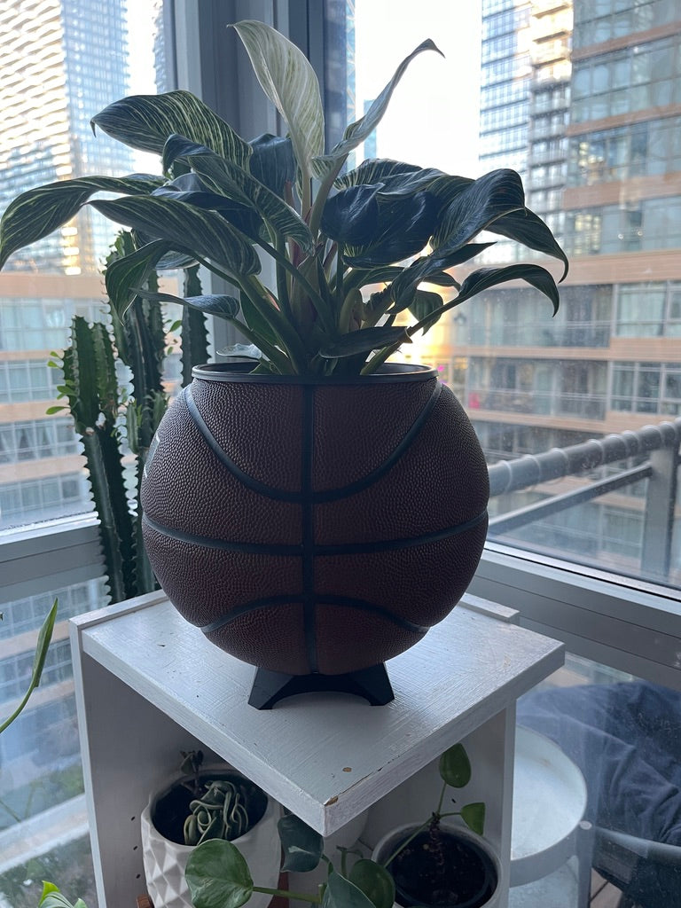 Nike Large Basketball Planter (LeBron Brown)