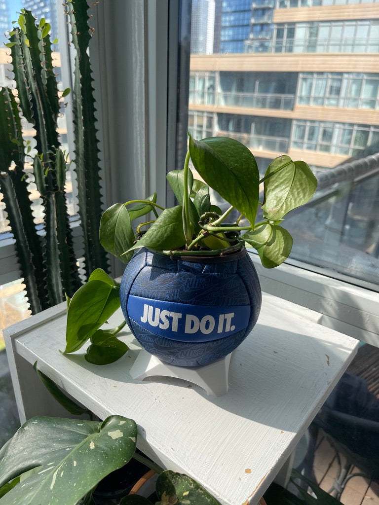 Nike Mini Volleyball Planter (Blueberry)