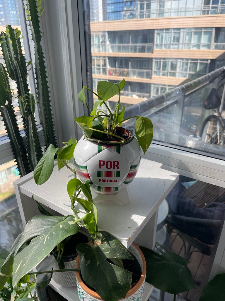 Mini Soccer Ball Planter (Portugal)