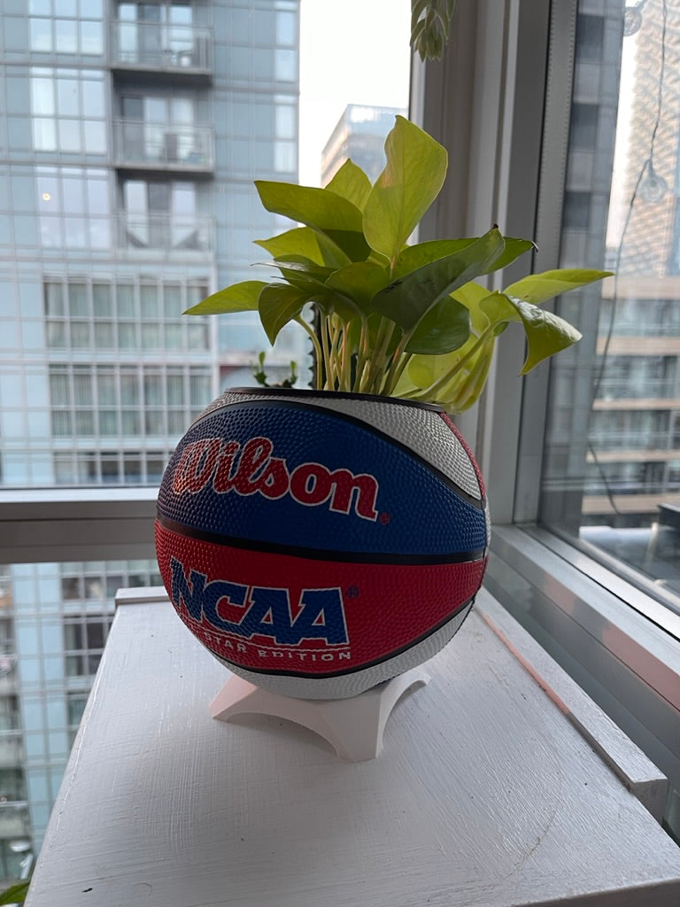 Mini Basketball Planter (NCAA Red/White/Blue)