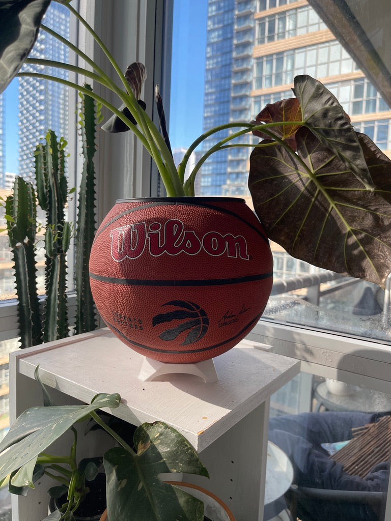Large Basketball Planter (Toronto Raptors Original)