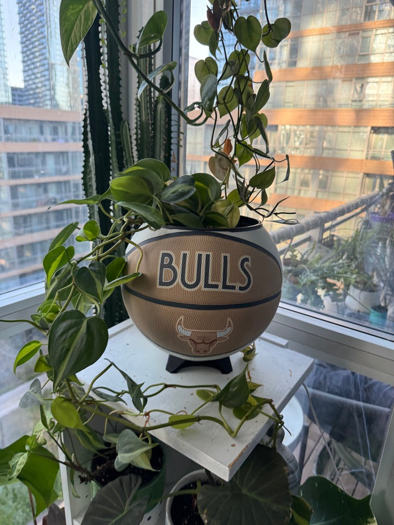 Large Basketball Planter (Chicago Bulls - Neutral)
