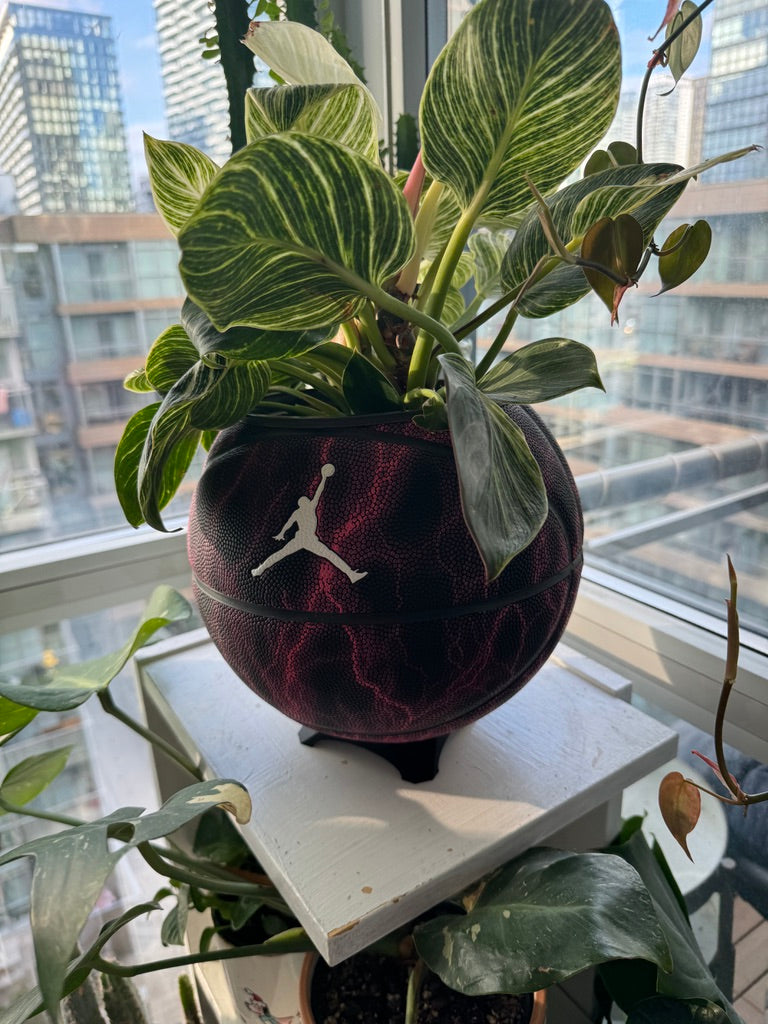 Nike Jordan Large Basketball Planter (Purple Lightning)