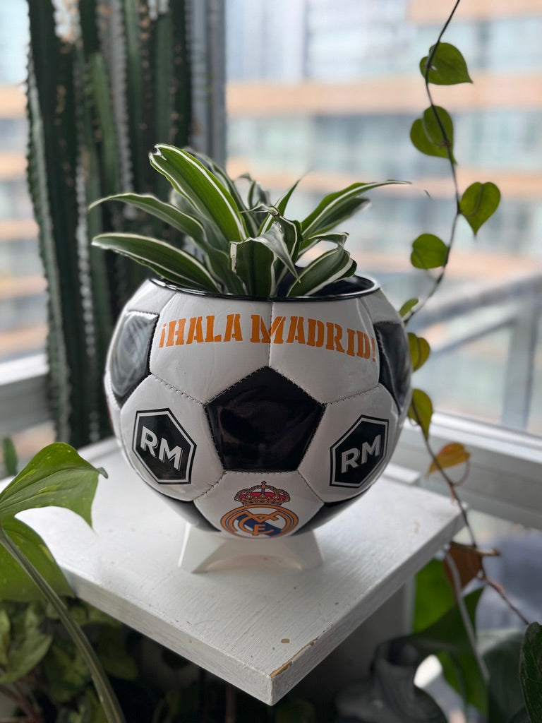 Large Soccer Ball Planter (Real Madrid CF)