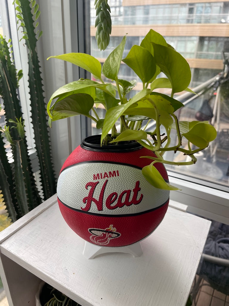 Mini Basketball Planter (Miami Heat)