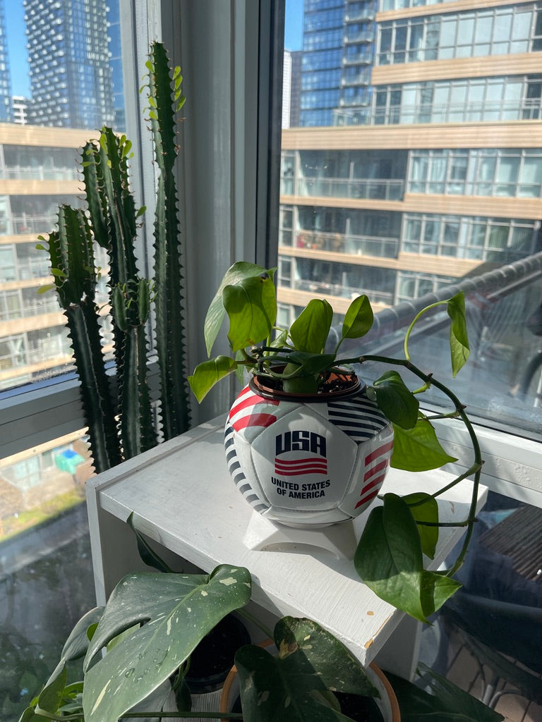 Mini Soccer Ball Planter (USA)