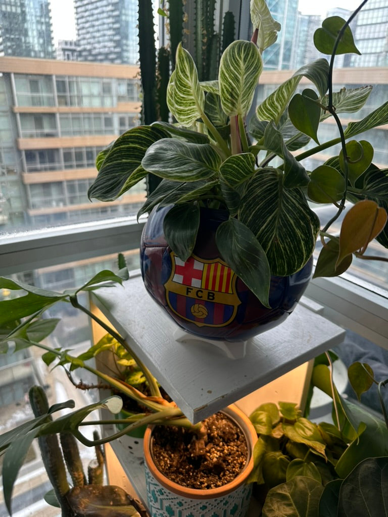 Large Soccer Ball Planter (FC Barcelona OG)