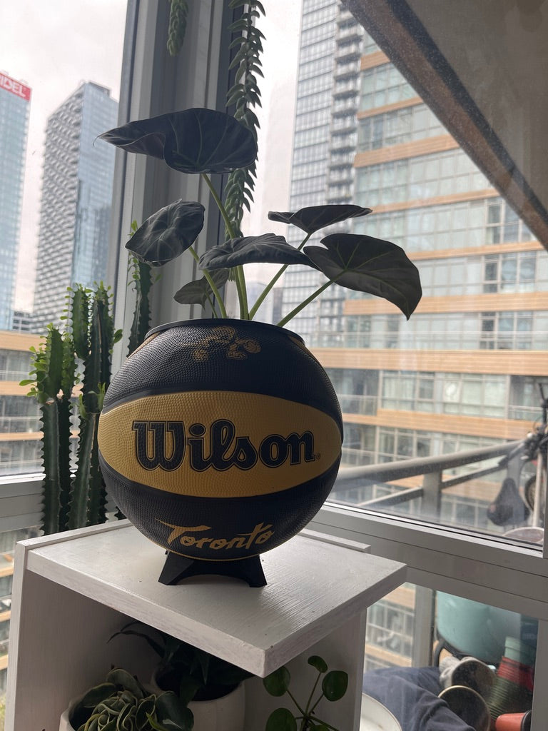 Large Basketball Planter (Toronto Raptors Gold Mascot)