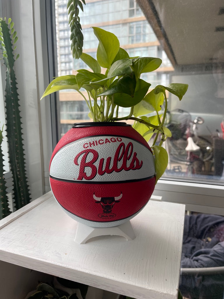 Mini Basketball Planter (Chicago Bulls)