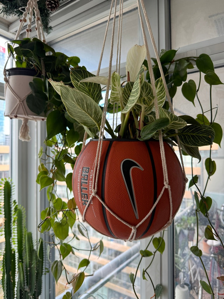 Nike Large Basketball Hanging Planter (White Macrame - Original Reversed)