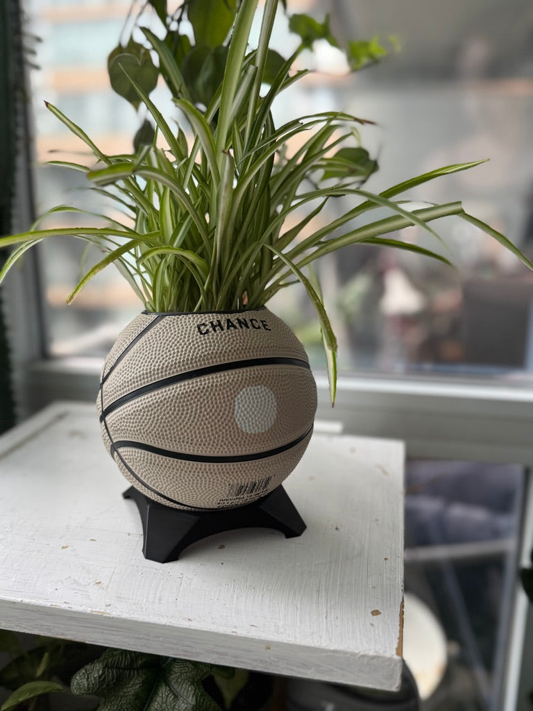 Ultra-Mini Basketball Planter (Bunny)