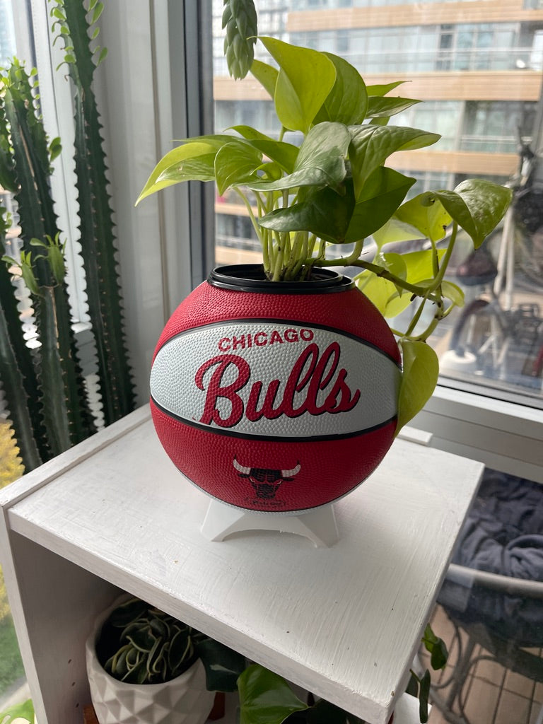 Mini Basketball Planter (Chicago Bulls)